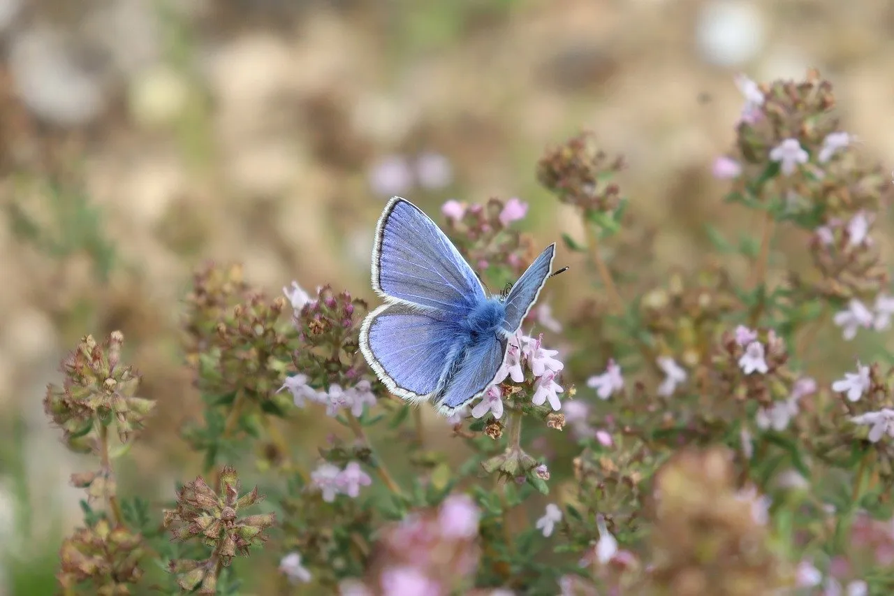 What to do when someone dies in the UK: step by step