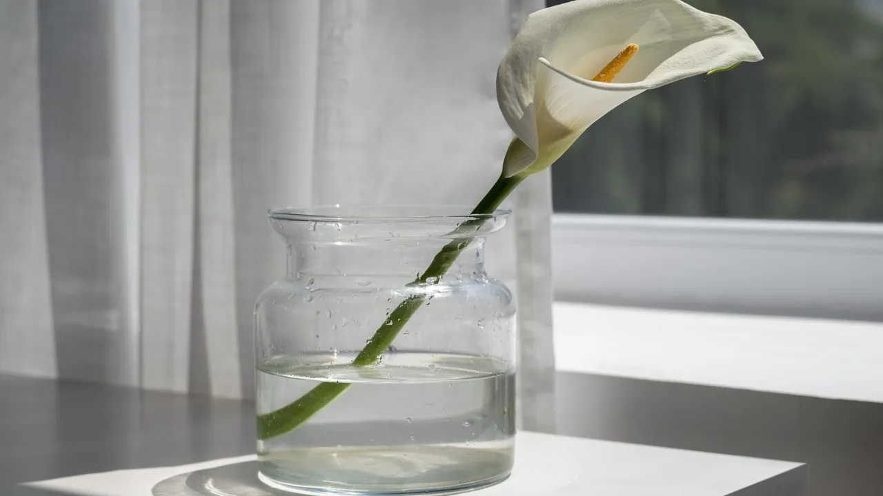 What embalming is, and when it is needed