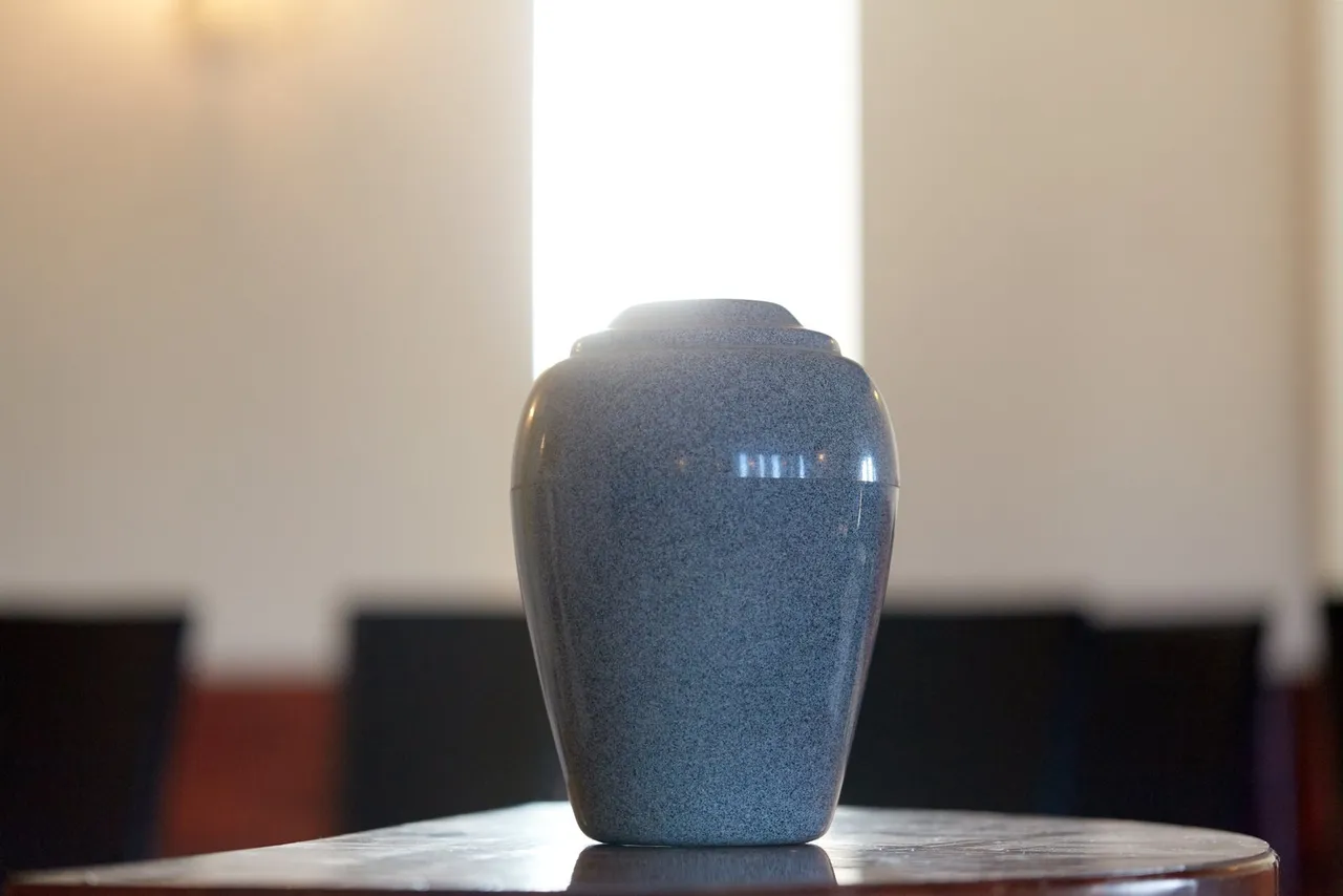 What is included in a direct cremation
