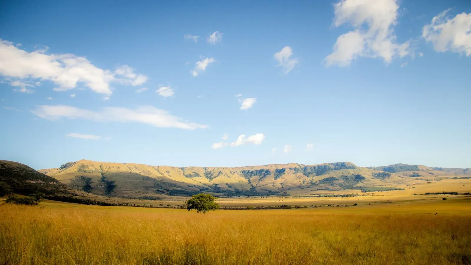 Landscape in Kenya