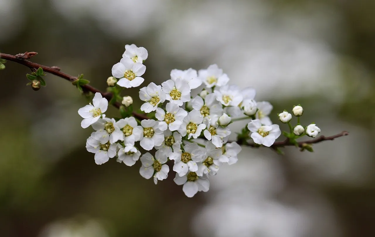 Is a direct cremation right for us? Six questions to ask