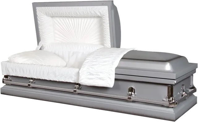 Warren Silver casket, 20 gauge steel, silver finish, fixed bar hardware