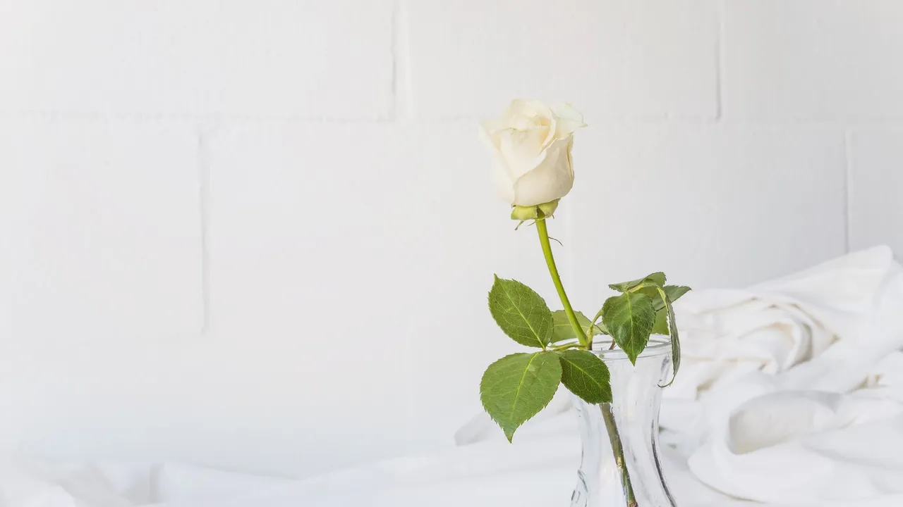 Visiting a chapel of rest: what to expect